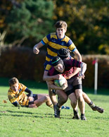 Cranbrook vs Eltham