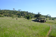 Kenya 2017