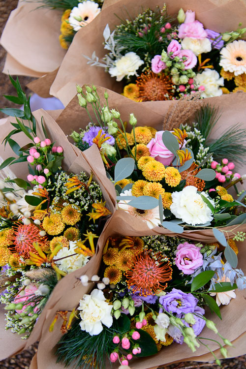 D85_4266.jpg D85_4266.jpg