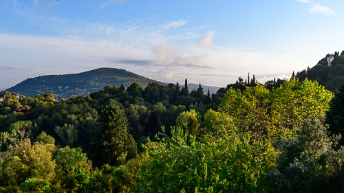 D85_6242.jpg