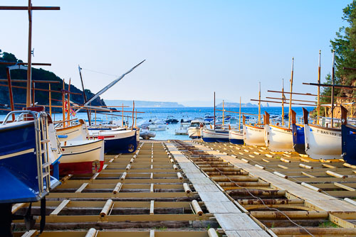 DSC_3262_v2.jpg